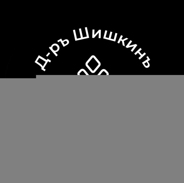 Шишкин В.В., ИП